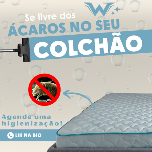 Willclean-Higienização-de-Estofados