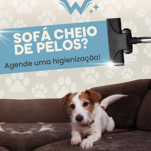 Willclean-Higienização-de-Estofados